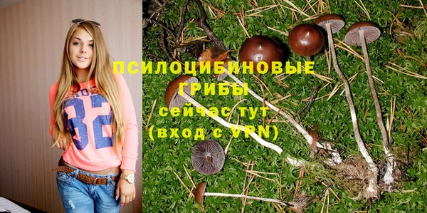 ешки Балахна