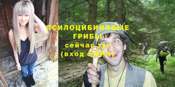 PSILOCYBIN Горнозаводск