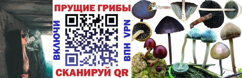 блэк спрут ссылка  где найти наркотики  Котельниково  нарко площадка формула  Галлюциногенные грибы Magic Shrooms 